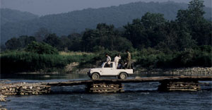 book dhikala safari from official website link