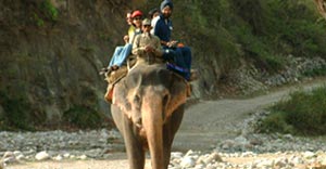 book jim corbett elephant safari in may-june-july-2024