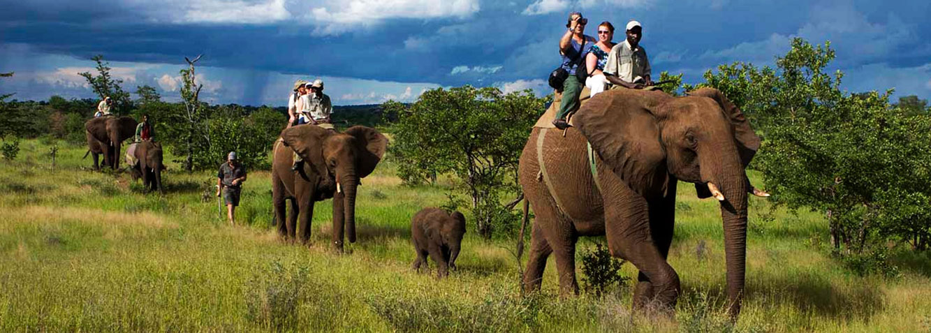 jim corbett resort official booking website with garjiya, bijrani,dhikala safari-2024