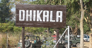 dhikala  safari official site in november-december